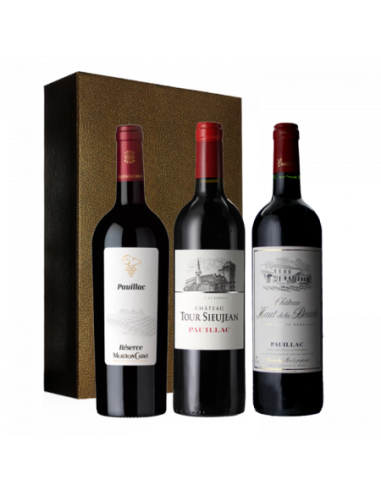 Coffret trio Bordeaux Pauillac AOC / 3 bouteilles / 2,25 L fabrication France 🇫🇷 Jusqu'à 80% De Réduction